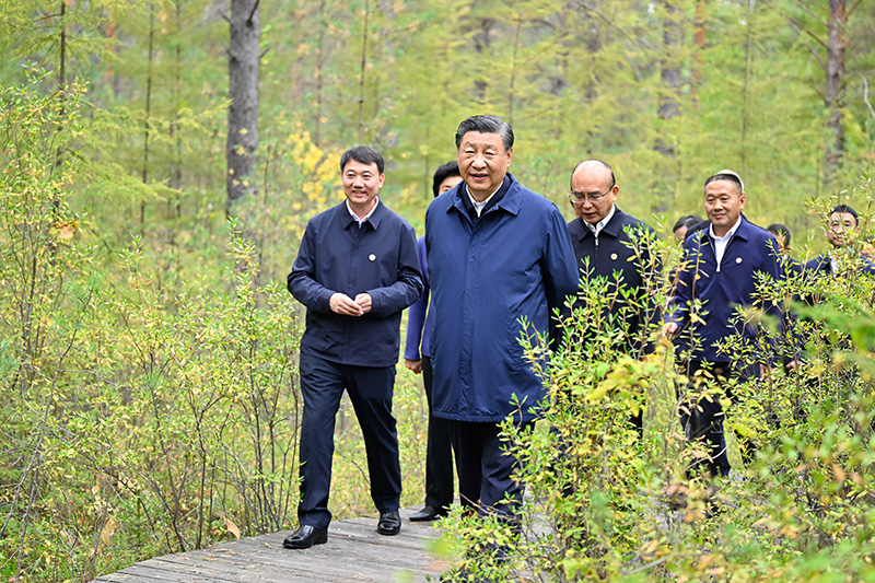9月6日至8日，中共中央總書記、國家主席、中央軍委主席習(xí)近平在黑龍江考察。這是6日下午，習(xí)近平在大興安嶺地區(qū)漠河市漠河林場自然林區(qū)考察